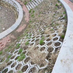 100 400带排水孔土工格室堤坝加固防护斜坡绿化
